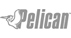 Pelican